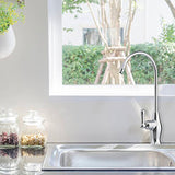 Puroflo FLR-575 RO Faucet | Brushed Nickel - Free Purity